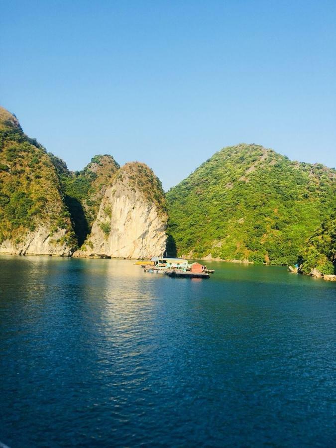 Flamingo Luxury Cruises Ξενοδοχείο Χα Λονγκ Εξωτερικό φωτογραφία